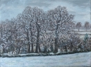 Winter
                trees, Shearford Lane