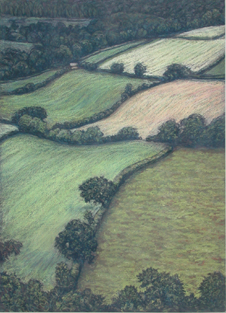 Fields near Rosemoor